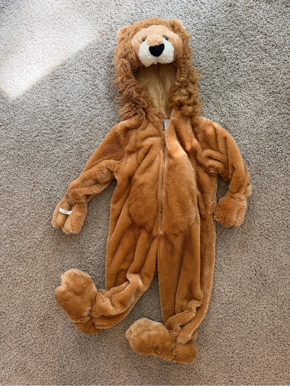 Cozy Lion Costume 3T